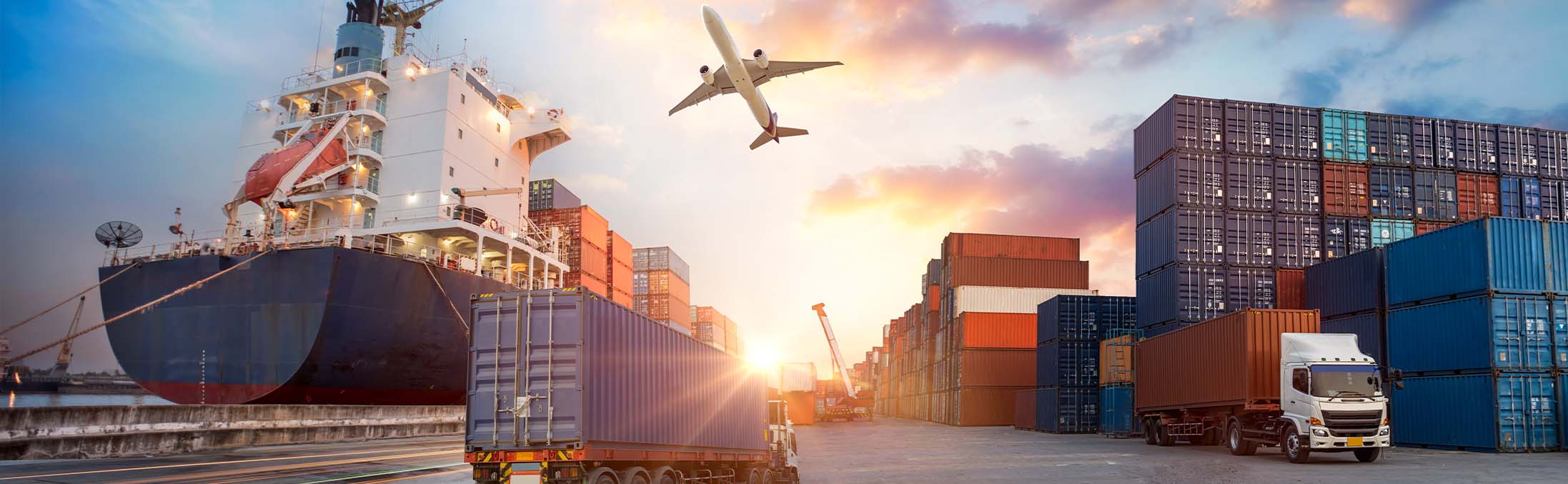 Filière Transport - Formation Bac+2 | Maestris BTS