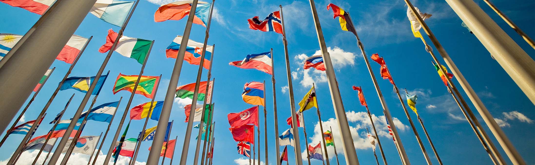 Notre programme international IDDS | Maestris BTS