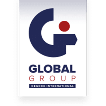 Logo global groupe négoce international